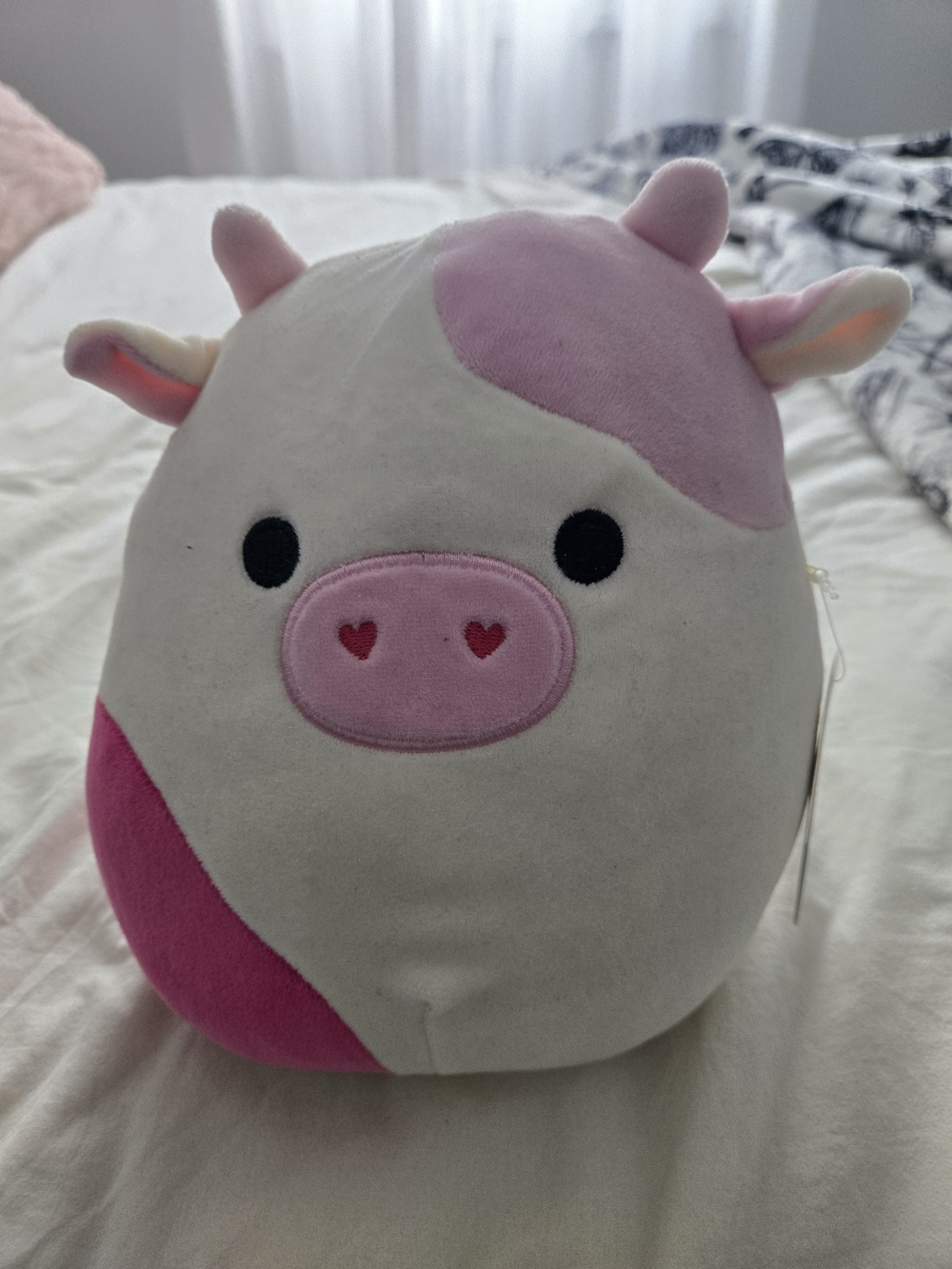 Squishmallow Cow Bundle - Caedyn And Candess 8 Inch NWT